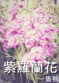 紫罗兰花束包装